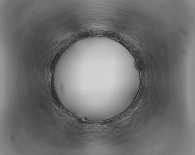 X0000113021061200908271029