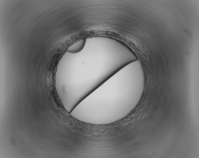 X0000113021062200908271029