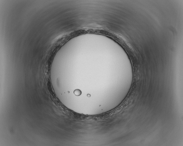 X0000113021063200908271029