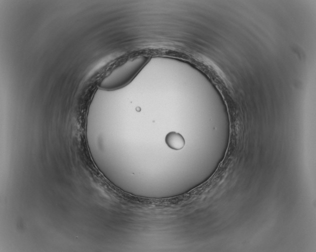 X0000113021064200908271029