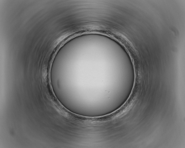 X0000113021065200908271029