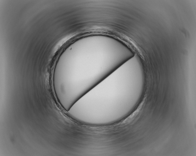 X0000113021066200908271029