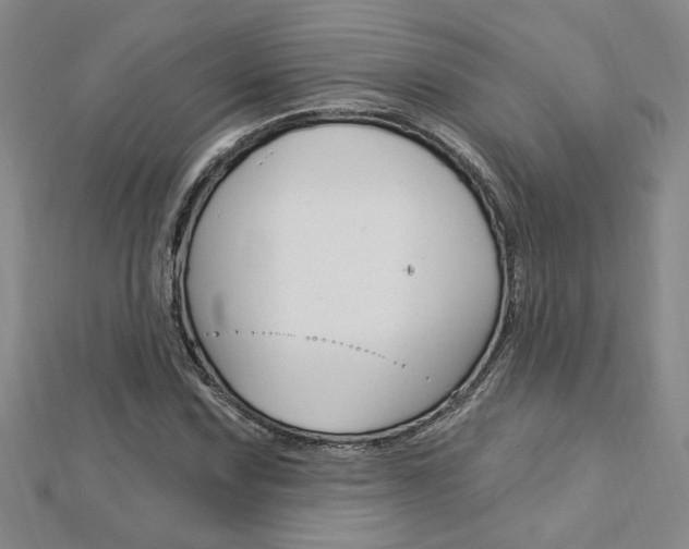 X0000113021067200908271029