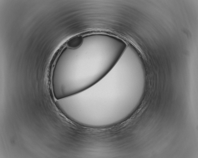 X0000113021068200908271029