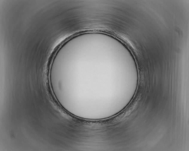 X0000113021071200908271029