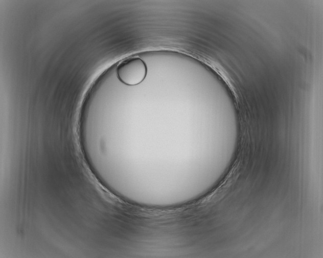 X0000113021072200908271029