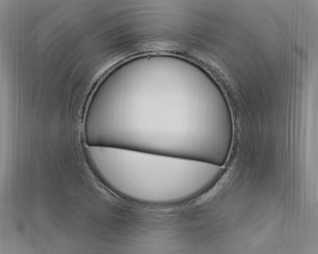 X0000113021073200908271029