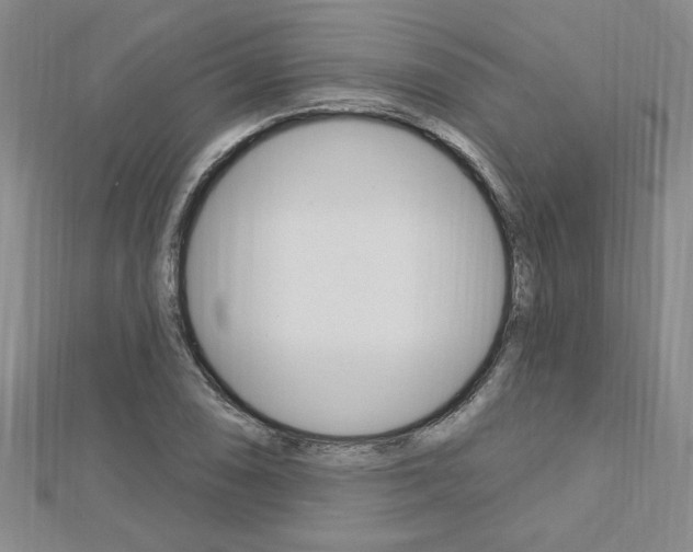 X0000113021074200908271029