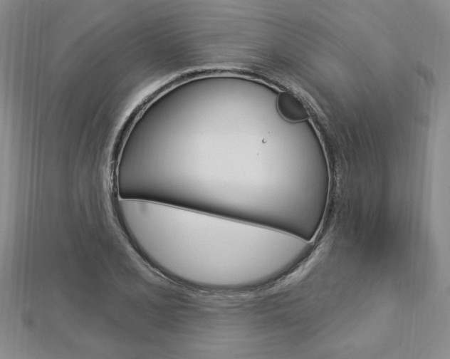 X0000113021077200908271029