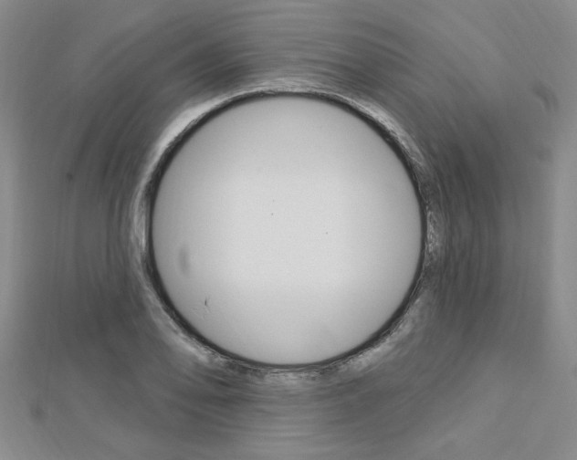 X0000113021078200908271029