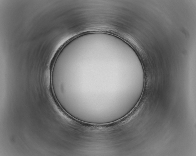 X0000113021079200908271029
