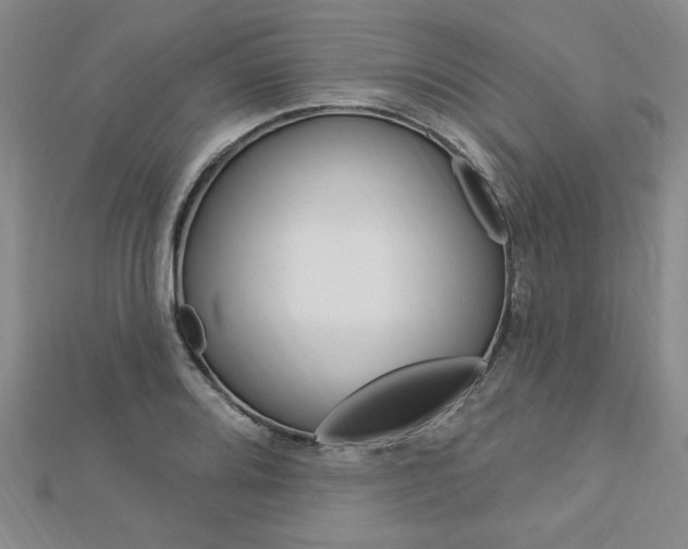 X0000113021080200908271028