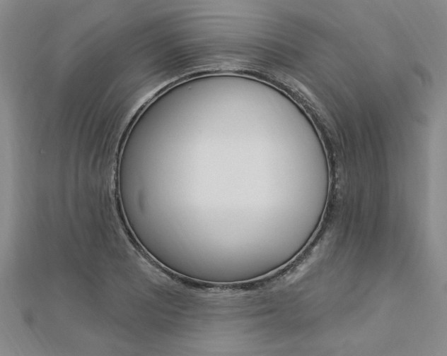 X0000113021081200908271028