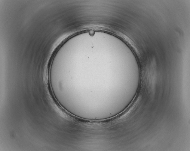 X0000113021082200908271028