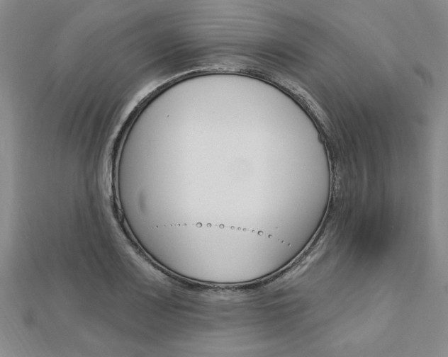 X0000113021083200908271028