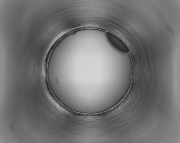 X0000113021084200908271028