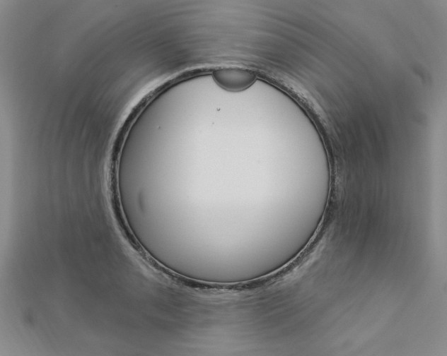 X0000113021085200908271028