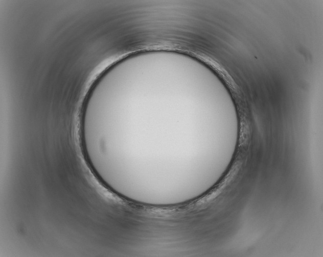 X0000113021086200908271028