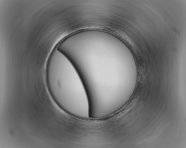X0000113021087200908271028