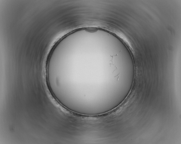 X0000113021088200908271028