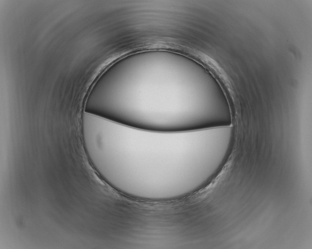 X0000113021089200908271028