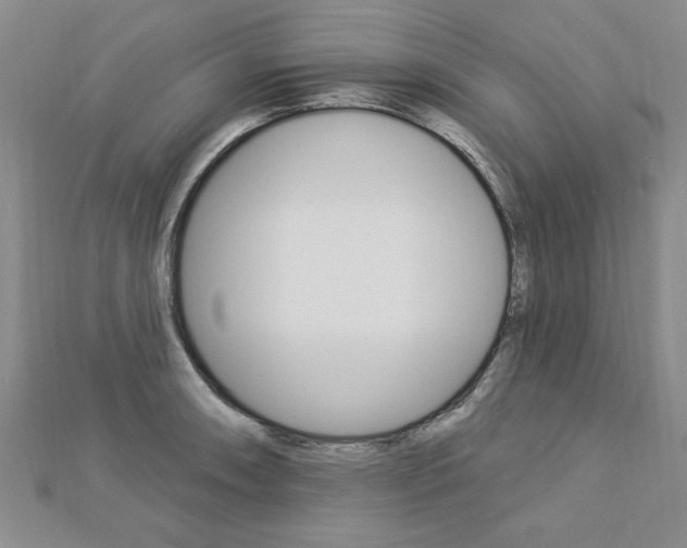 X0000113021090200908271028
