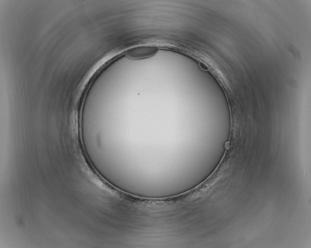 X0000113021092200908271028