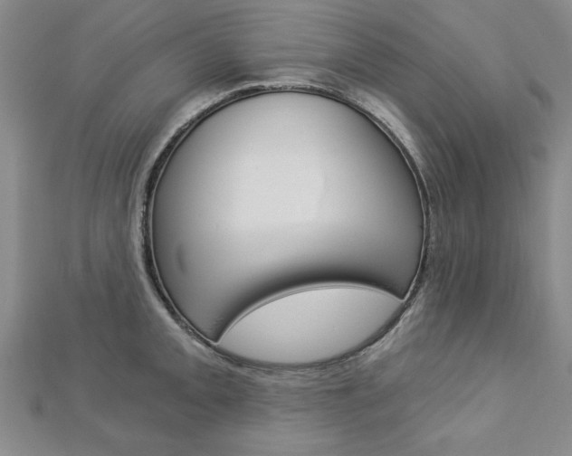 X0000113021093200908271028