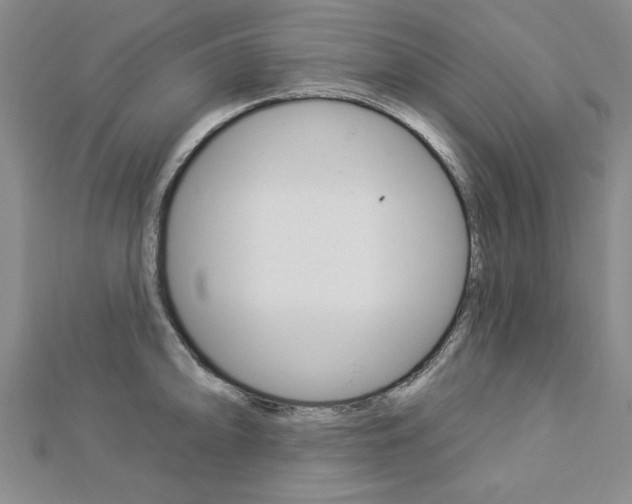 X0000113021094200908271028