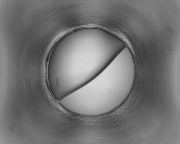 X0000113021096200908271028