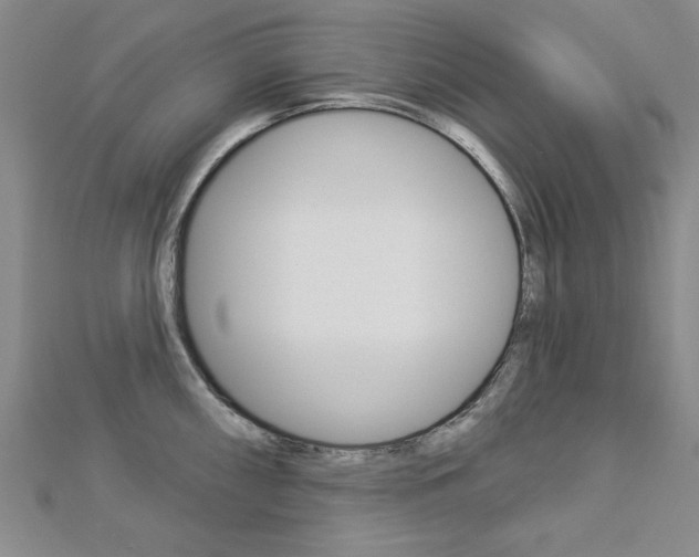 X0000113021098200908271028