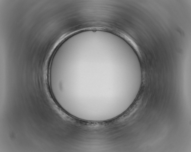 X0000113021099200908271028