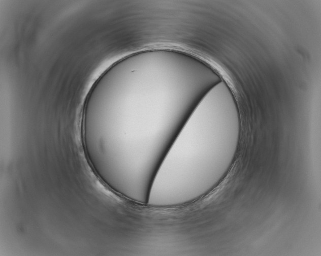 X0000113021102200908271028