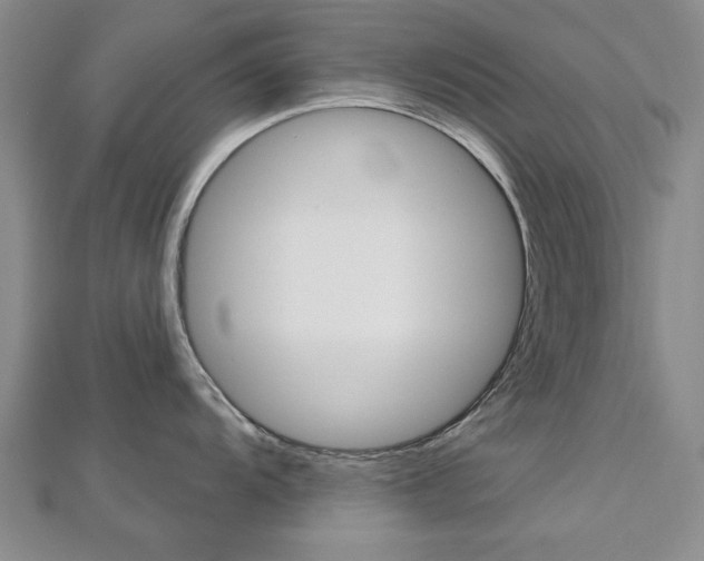 X0000113021104200908271028