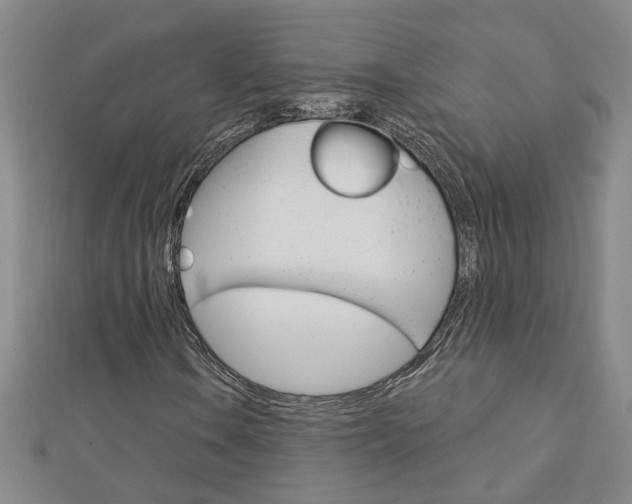 X0000113021106200908271027