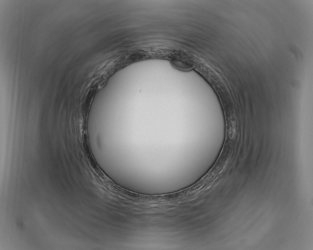 X0000113021108200908271027