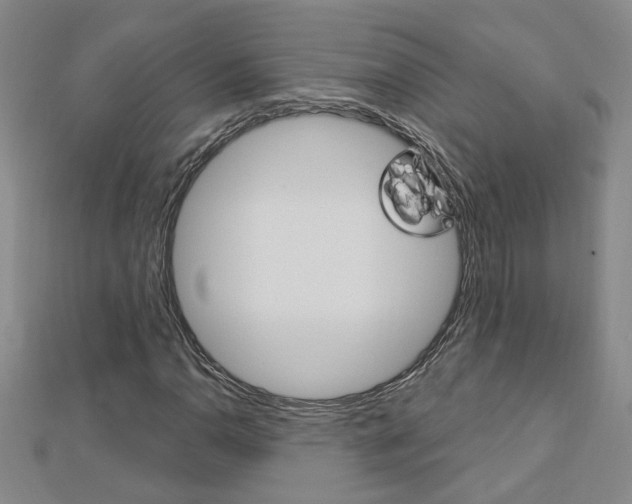 X0000113021110200908271027