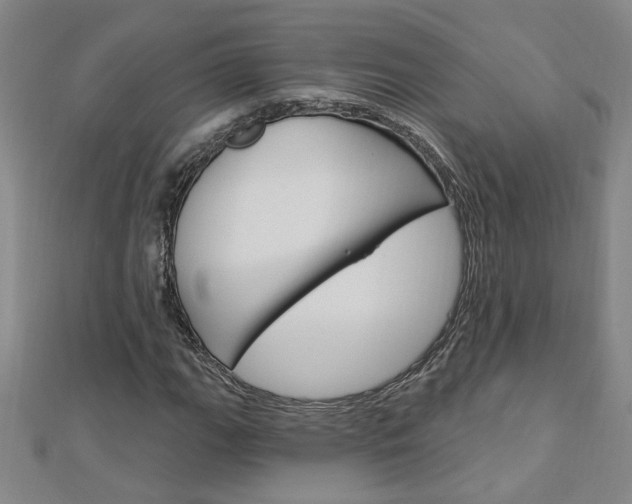 X0000113021111200908271027