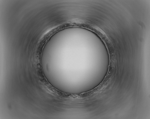 X0000113021112200908271027