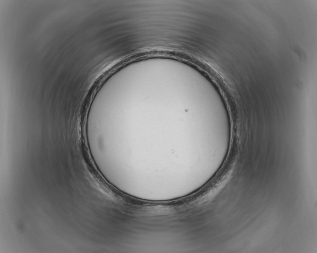 X0000113021113200908271027