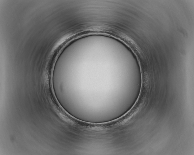 X0000113021114200908271028