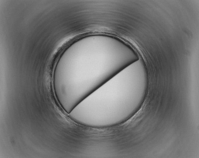 X0000113021115200908271028