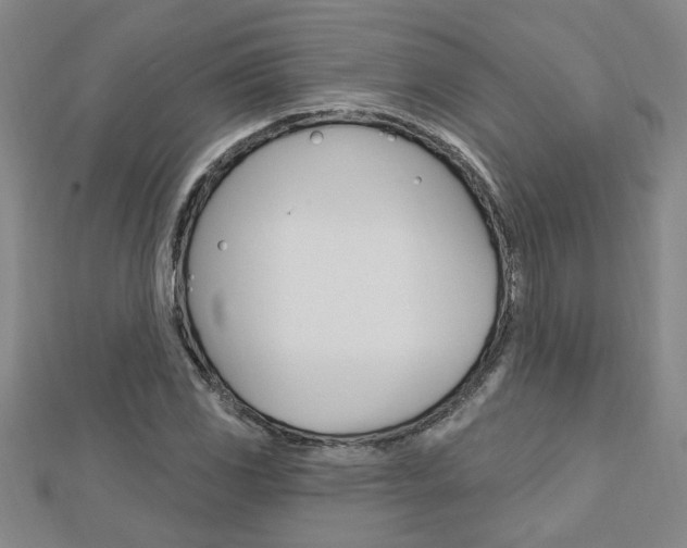 X0000113021117200908271028