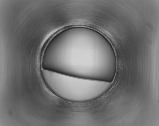 X0000113021120200908271028