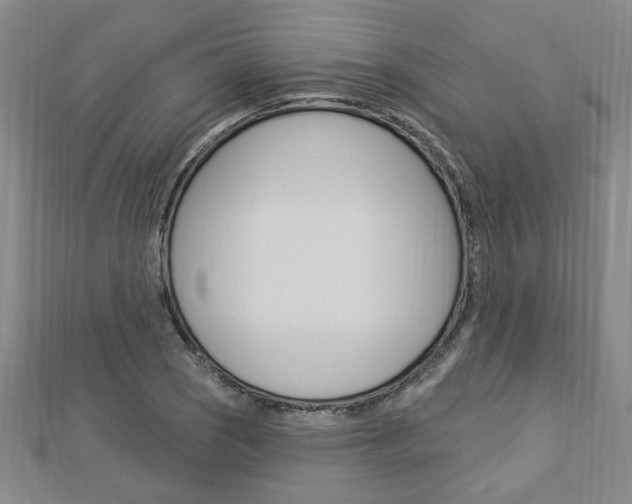 X0000113021121200908271028