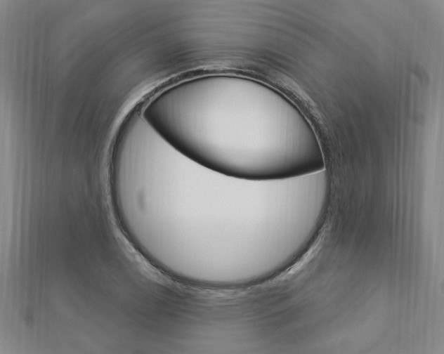 X0000113021122200908271028