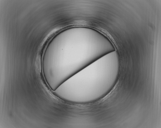 X0000113021123200908271028