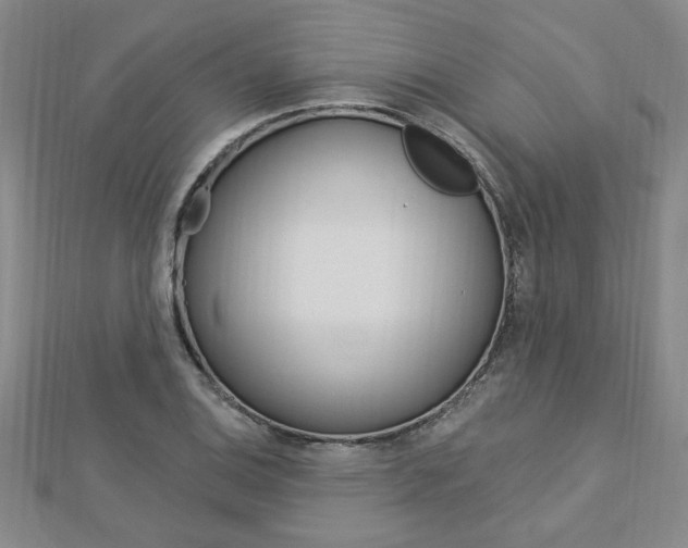 X0000113021124200908271028