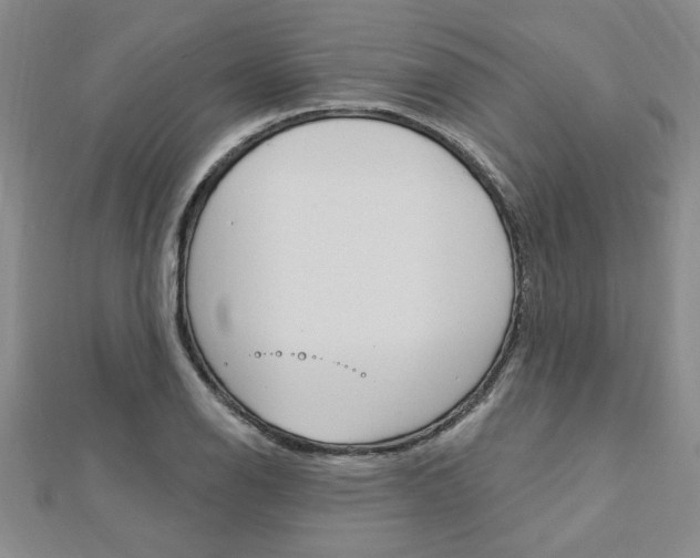 X0000113021126200908271028