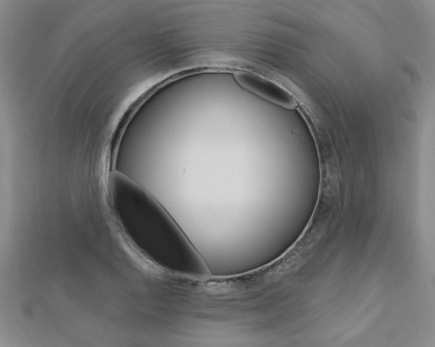 X0000113021128200908271028